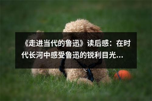 《走進當(dāng)代的魯迅》讀后感：在時代長河中感受魯迅的銳利目光 (900字)