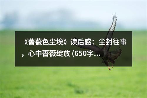 《薔薇色塵?！纷x后感：塵封往事，心中薔薇綻放 (650字)