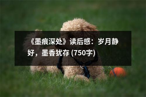 《墨痕深處》讀后感：歲月靜好，墨香猶存 (750字)