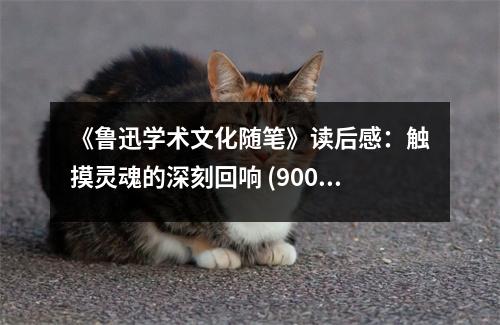 《魯迅學(xué)術(shù)文化隨筆》讀后感：觸摸靈魂的深刻回響 (900字)
