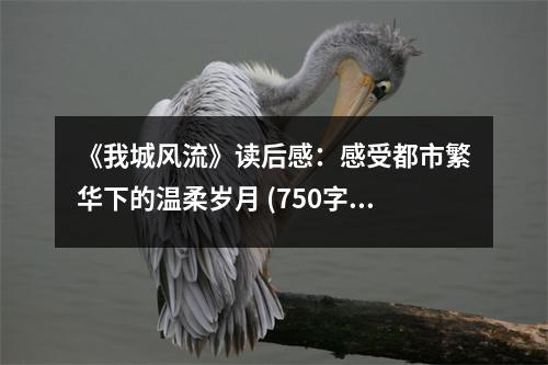《我城風(fēng)流》讀后感：感受都市繁華下的溫柔歲月 (750字)