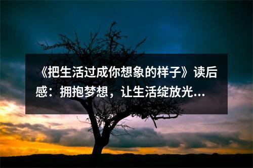 《把生活過成你想象的樣子》讀后感：擁抱夢(mèng)想，讓生活綻放光彩 (800字)