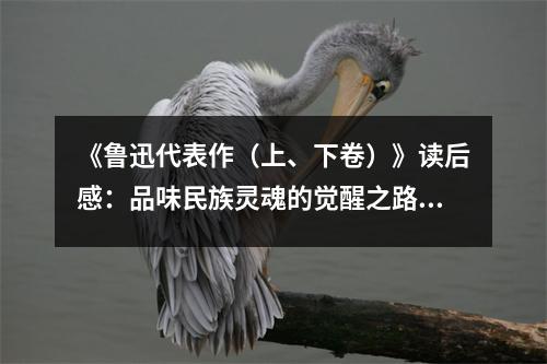 《魯迅代表作（上、下卷）》讀后感：品味民族靈魂的覺醒之路 (1050字)