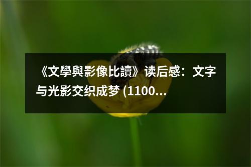 《文學(xué)與影像比讀》讀后感：文字與光影交織成夢(mèng) (1100字)