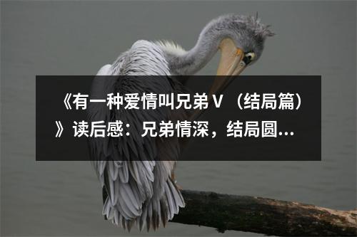 《有一種愛情叫兄弟Ⅴ（結(jié)局篇）》讀后感：兄弟情深，結(jié)局圓滿 (750字)