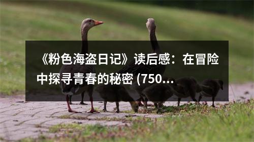 《粉色海盜日記》讀后感：在冒險(xiǎn)中探尋青春的秘密 (750字)