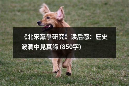 《北宋黨爭(zhēng)研究》讀后感：歷史波瀾中見真諦 (850字)