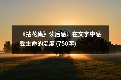 《拈花集》讀后感：在文字中感受生命的溫度 (750字)