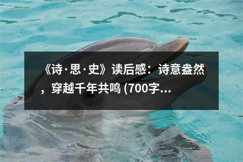 《詩·思·史》讀后感：詩意盎然，穿越千年共鳴 (700字)