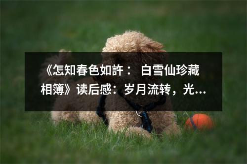 《怎知春色如許 ： 白雪仙珍藏相簿》讀后感：歲月流轉(zhuǎn)，光影依舊 (700字)
