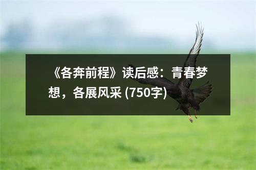 《各奔前程》讀后感：青春夢(mèng)想，各展風(fēng)采 (750字)