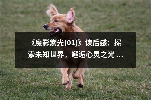 《魔影紫光(01)》讀后感：探索未知世界，邂逅心靈之光 (750字)