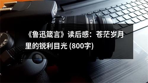 《魯迅箴言》讀后感：蒼茫歲月里的銳利目光 (800字)