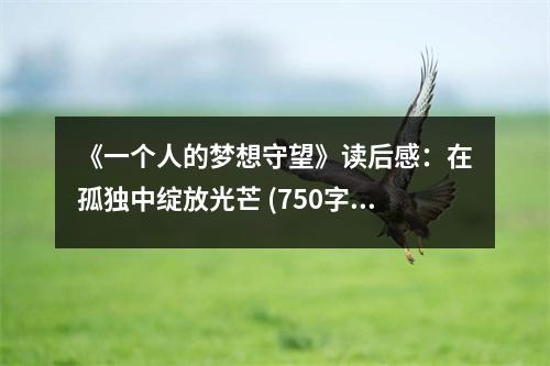 《一個(gè)人的夢(mèng)想守望》讀后感：在孤獨(dú)中綻放光芒 (750字)