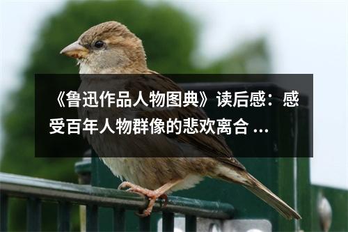 《魯迅作品人物圖典》讀后感：感受百年人物群像的悲歡離合 (950字)