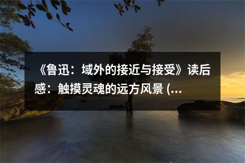 《魯迅：域外的接近與接受》讀后感：觸摸靈魂的遠(yuǎn)方風(fēng)景 (900字)