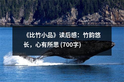 《比竹小品》讀后感：竹韻悠長，心有所思 (700字)