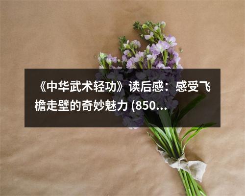 《中華武術(shù)輕功》讀后感：感受飛檐走壁的奇妙魅力 (850字)