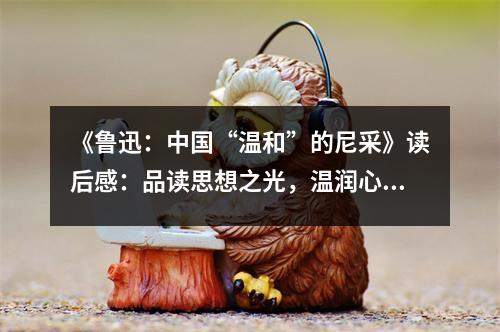 《魯迅：中國(guó)“溫和”的尼采》讀后感：品讀思想之光，溫潤(rùn)心靈深處 (750字)