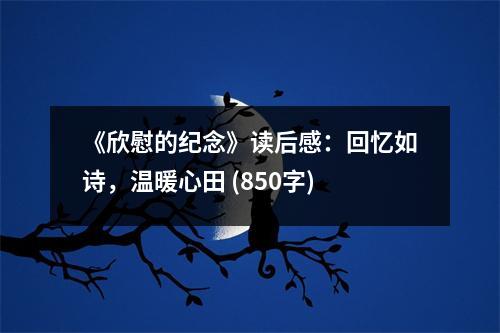 《欣慰的紀(jì)念》讀后感：回憶如詩(shī)，溫暖心田 (850字)