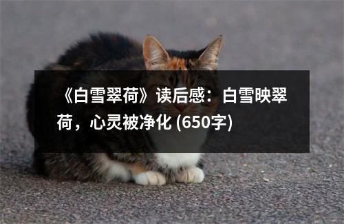 《白雪翠荷》讀后感：白雪映翠荷，心靈被凈化 (650字)
