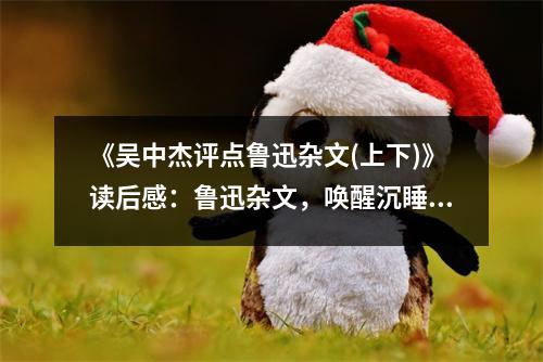 《吳中杰評點魯迅雜文(上下)》讀后感：魯迅雜文，喚醒沉睡的靈魂 (900字)