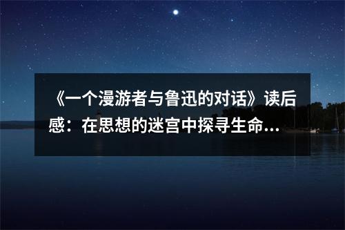 《一個(gè)漫游者與魯迅的對(duì)話》讀后感：在思想的迷宮中探尋生命的真諦 (1000字)