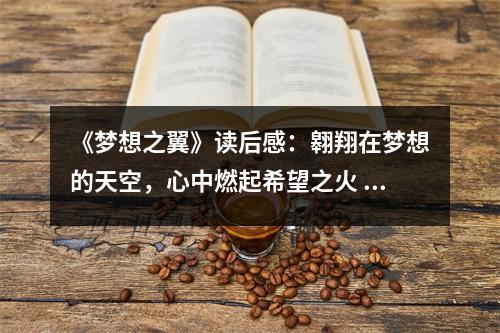 《夢想之翼》讀后感：翱翔在夢想的天空，心中燃起希望之火 (1050字)