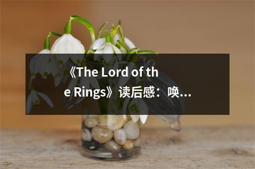 《The Lord of the Rings》讀后感：喚醒內心深處的那份勇敢 (750字)