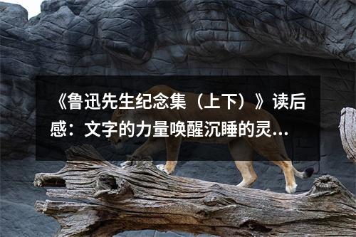 《魯迅先生紀念集（上下）》讀后感：文字的力量喚醒沉睡的靈魂 (750字)