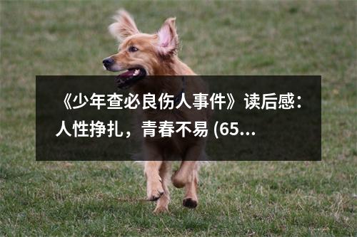 《少年查必良傷人事件》讀后感：人性掙扎，青春不易 (650字)