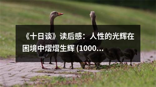 《十日談》讀后感：人性的光輝在困境中熠熠生輝 (1000字)