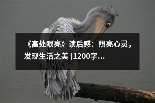 《高處眼亮》讀后感：照亮心靈，發(fā)現(xiàn)生活之美 (1200字)