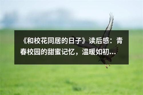 《和?；ㄍ拥娜兆印纷x后感：青春校園的甜蜜記憶，溫暖如初 (700字)