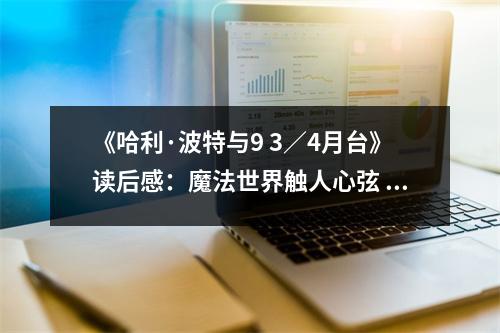 《哈利·波特與9 3／4月臺》讀后感：魔法世界觸人心弦 (800字)