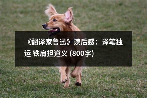 《翻譯家魯迅》讀后感：譯筆獨(dú)運(yùn) 鐵肩擔(dān)道義 (800字)
