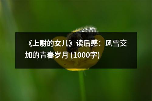 《上尉的女兒》讀后感：風雪交加的青春歲月 (1000字)