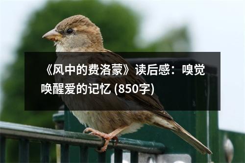 《風(fēng)中的費(fèi)洛蒙》讀后感：嗅覺喚醒愛的記憶 (850字)