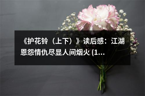 《護花鈴（上下）》讀后感：江湖恩怨情仇盡顯人間煙火 (1100字)