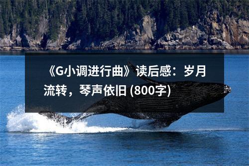 《G小調(diào)進行曲》讀后感：歲月流轉(zhuǎn)，琴聲依舊 (800字)