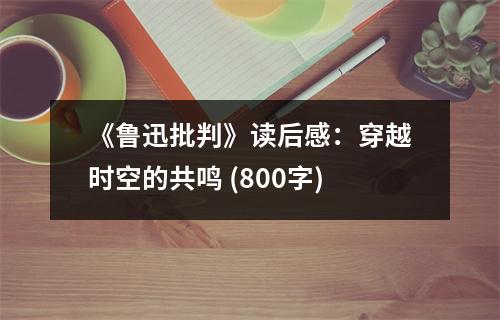 《魯迅批判》讀后感：穿越時空的共鳴 (800字)