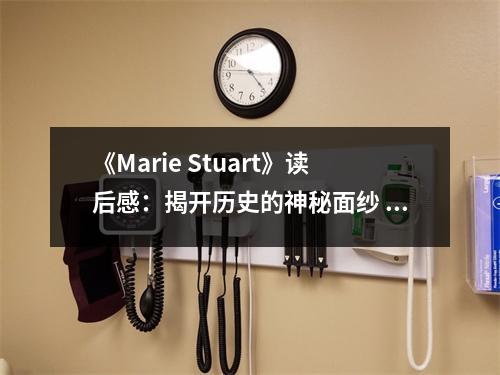 《Marie Stuart》讀后感：揭開(kāi)歷史的神秘面紗 (950字)