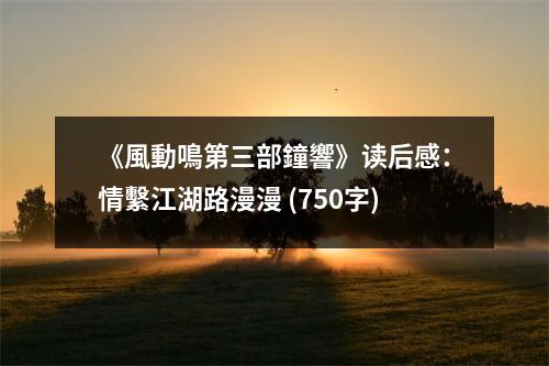 《風(fēng)動鳴第三部鐘響》讀后感：情繫江湖路漫漫 (750字)
