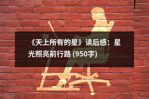 《天上所有的星》讀后感：星光照亮前行路 (950字)
