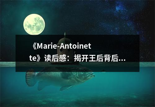 《Marie-Antoinette》讀后感：揭開王后背后的淚水 (950字)