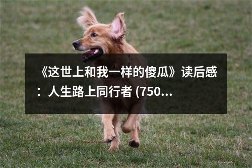 《這世上和我一樣的傻瓜》讀后感：人生路上同行者 (750字)
