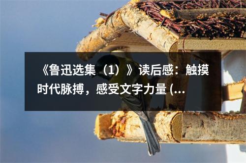 《魯迅選集（1）》讀后感：觸摸時代脈搏，感受文字力量 (900字)