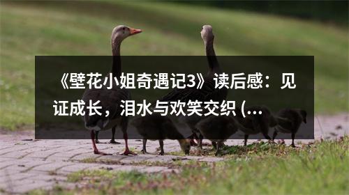 《壁花小姐奇遇記3》讀后感：見證成長，淚水與歡笑交織 (950字)