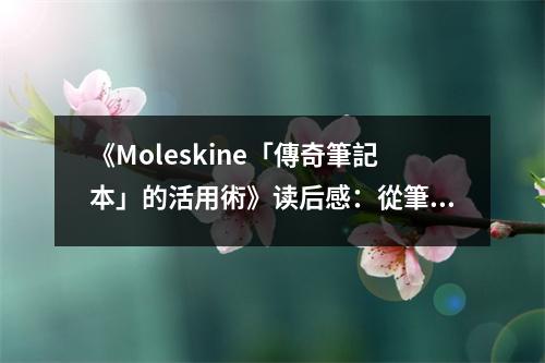 《Moleskine「傳奇筆記本」的活用術(shù)》讀后感：從筆記本中獲得靈感的寶藏 (800字)