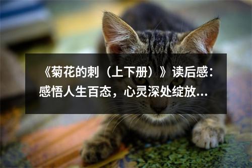 《菊花的刺（上下冊(cè)）》讀后感：感悟人生百態(tài)，心靈深處綻放 (800字)